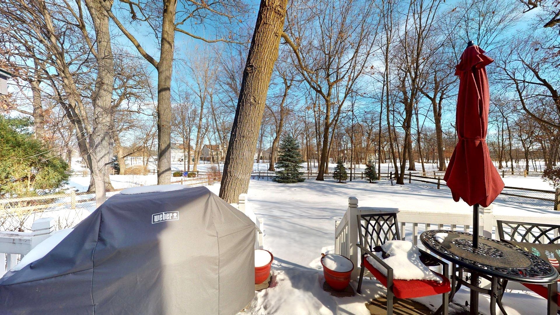 1107 VINEYARD Drive, Gurnee, IL 60031