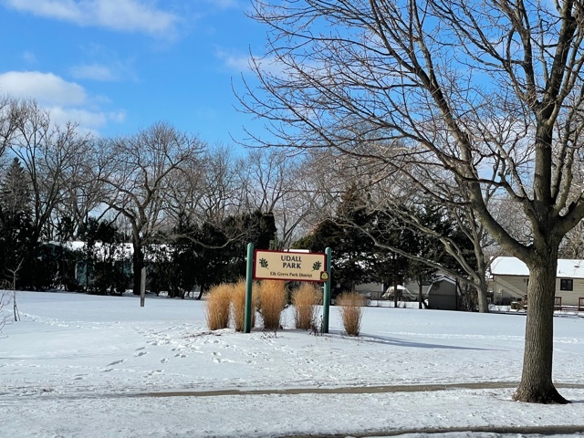 655 Perrie Drive #305, Elk Grove Village, IL 60007