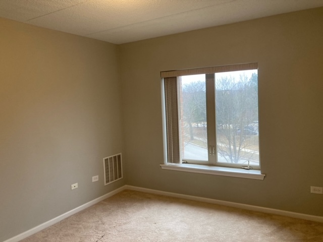 655 Perrie Drive #305, Elk Grove Village, IL 60007