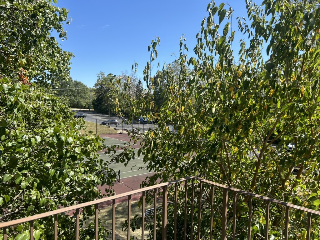 425 Walnut Creek Lane #1308, Lisle, IL 60532