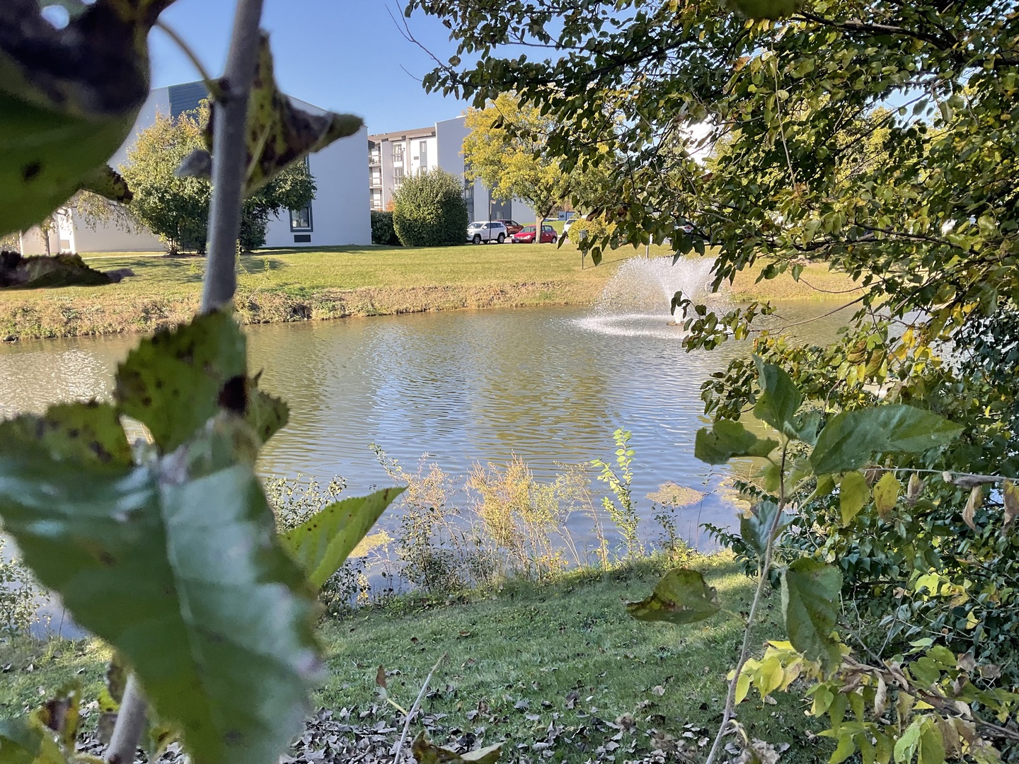 1066 Foxworth Boulevard #0, Lombard, IL 60148