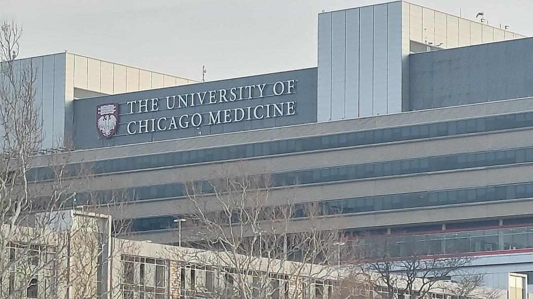 4625 S Michigan Avenue #2, Chicago, IL 60653