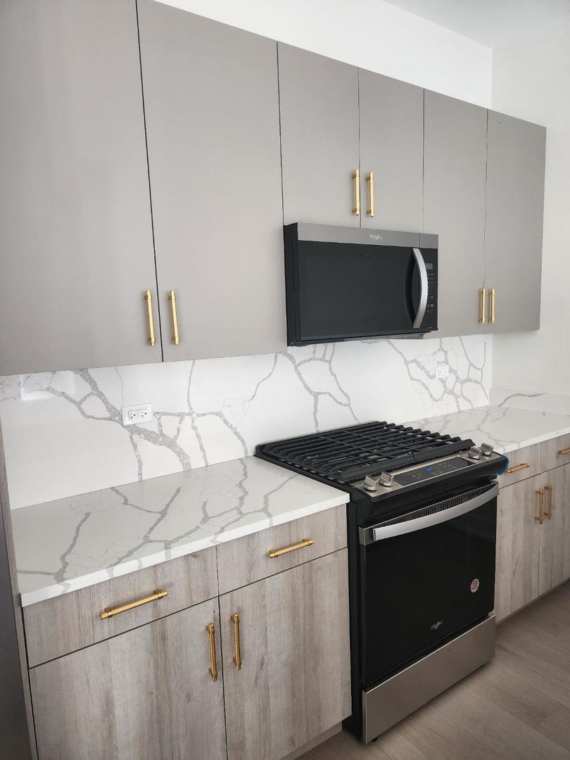 4625 S Michigan Avenue #2, Chicago, IL 60653