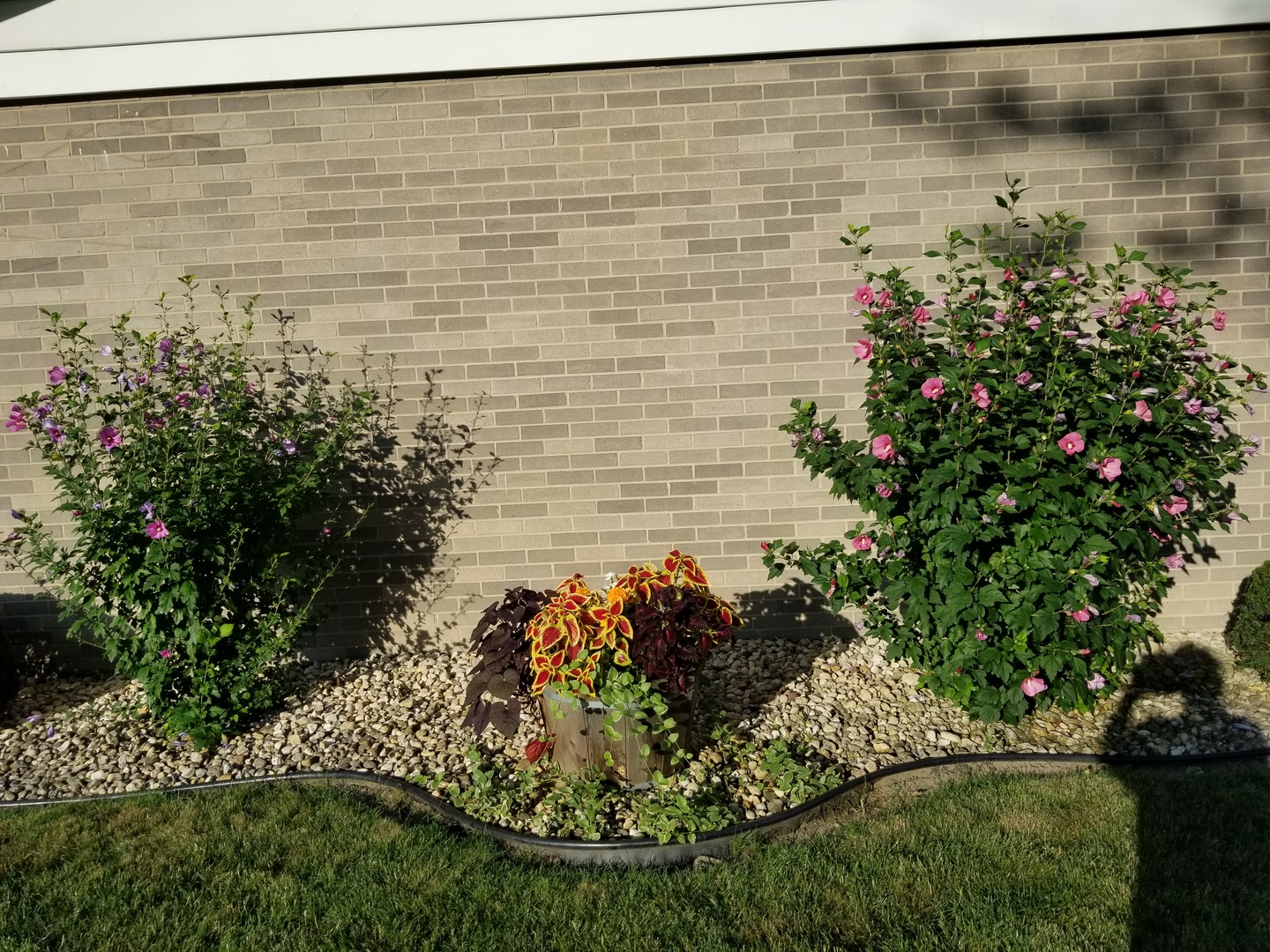 16417 66th Court, Tinley Park, IL 60477