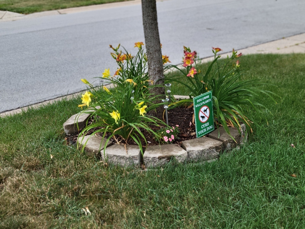 16417 66th Court, Tinley Park, IL 60477