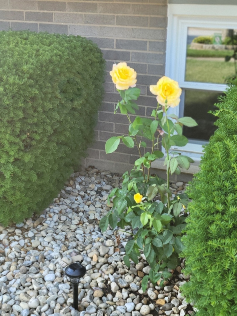 16417 66th Court, Tinley Park, IL 60477