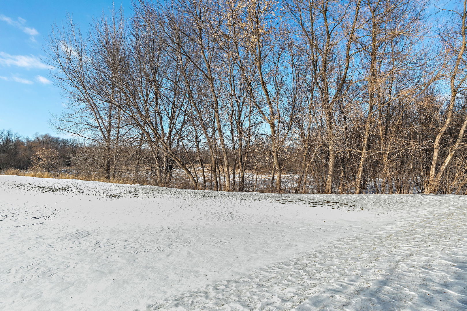 562 Gunnison Court, Gilberts, IL 60136