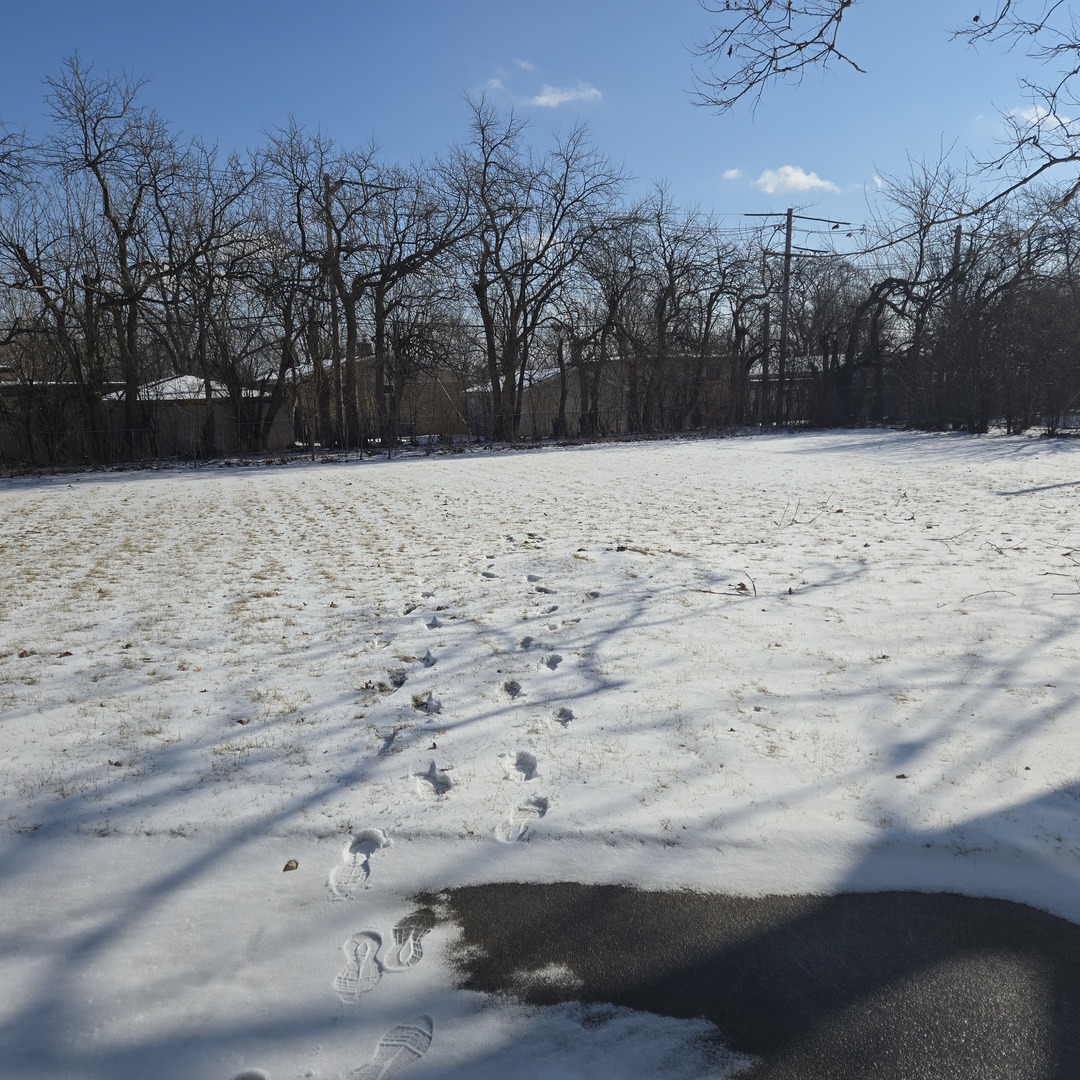 1915 TINA Lane, Flossmoor, IL 60422