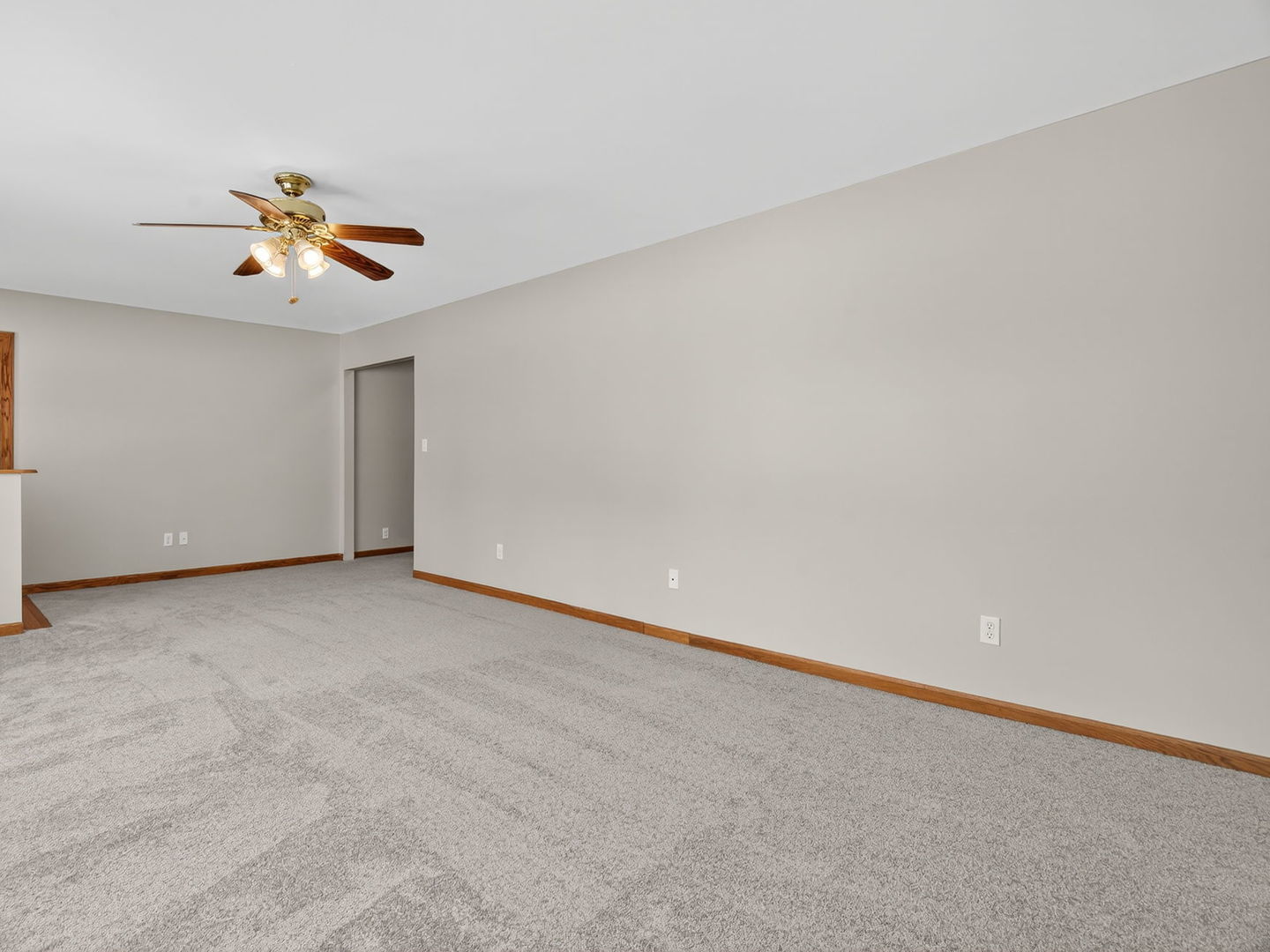 420 S Virginia Street, Coal City, IL 60416