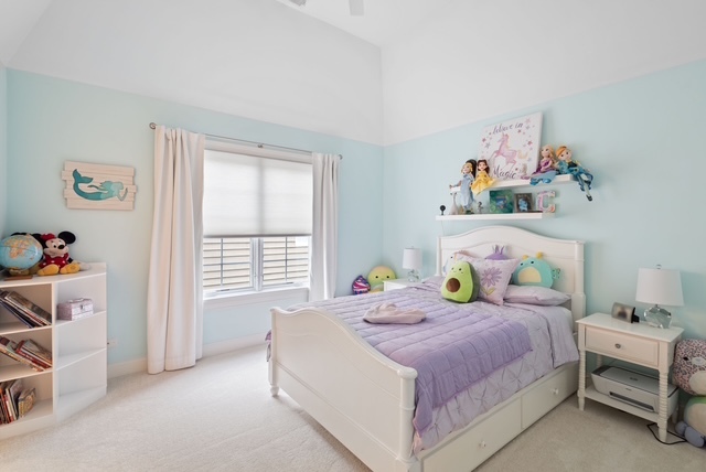 3919 Washington Street, Downers Grove, IL 60515