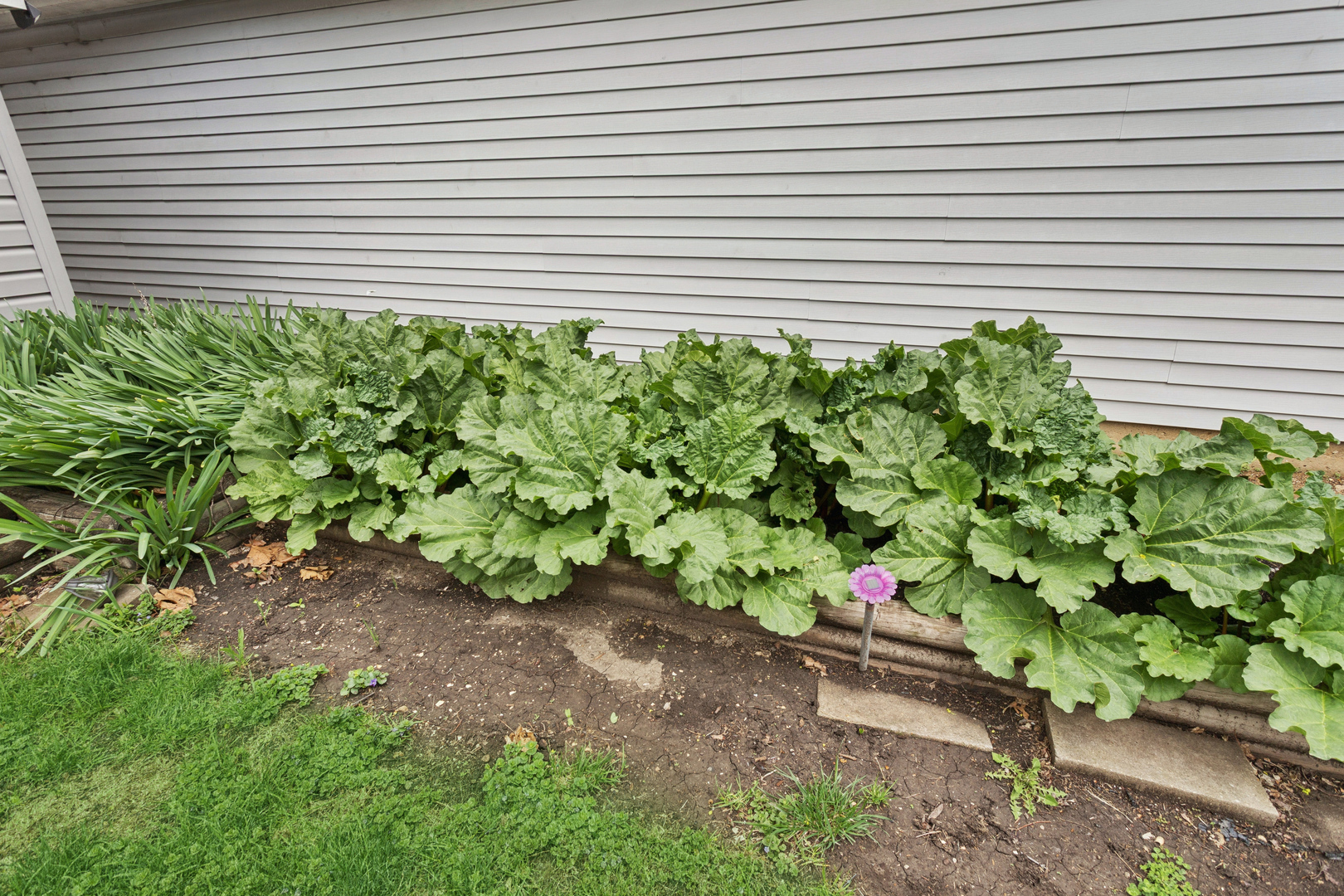 324 E 13th Street, Lockport, IL 60441