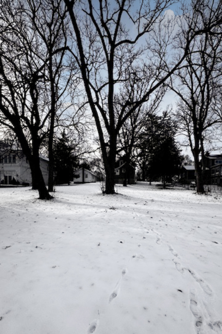 551 N 1st Street, Geneva, IL 60134