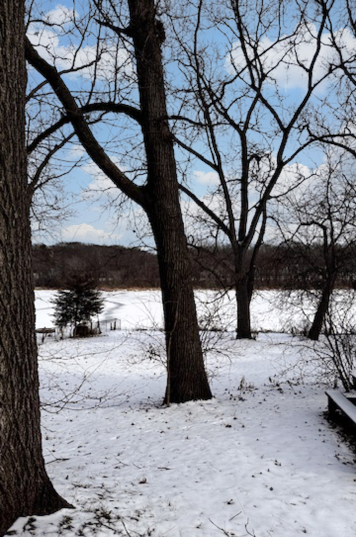 551 N 1st Street, Geneva, IL 60134