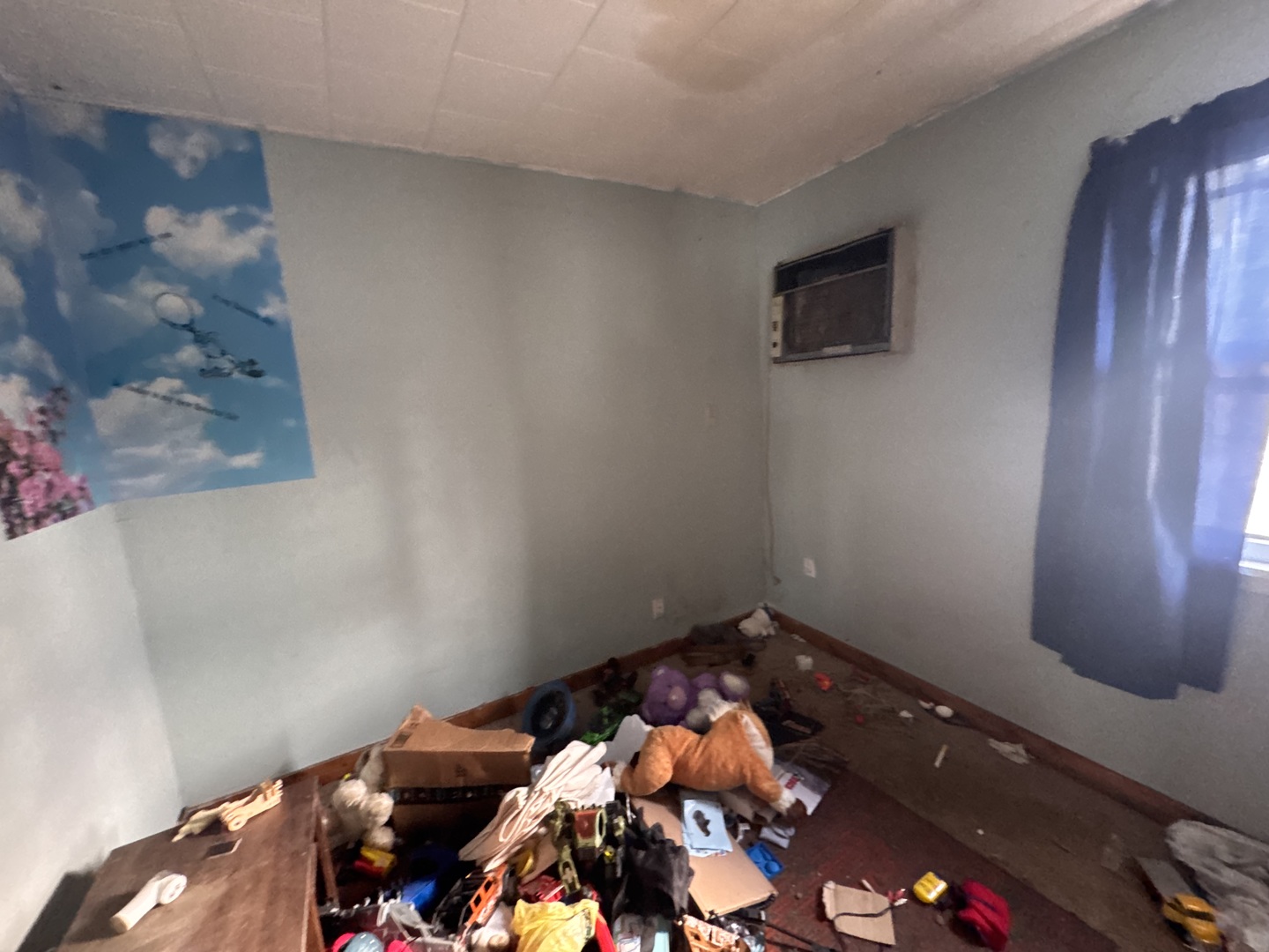 315 W Washington Street, Blandinsvile, IL 61420