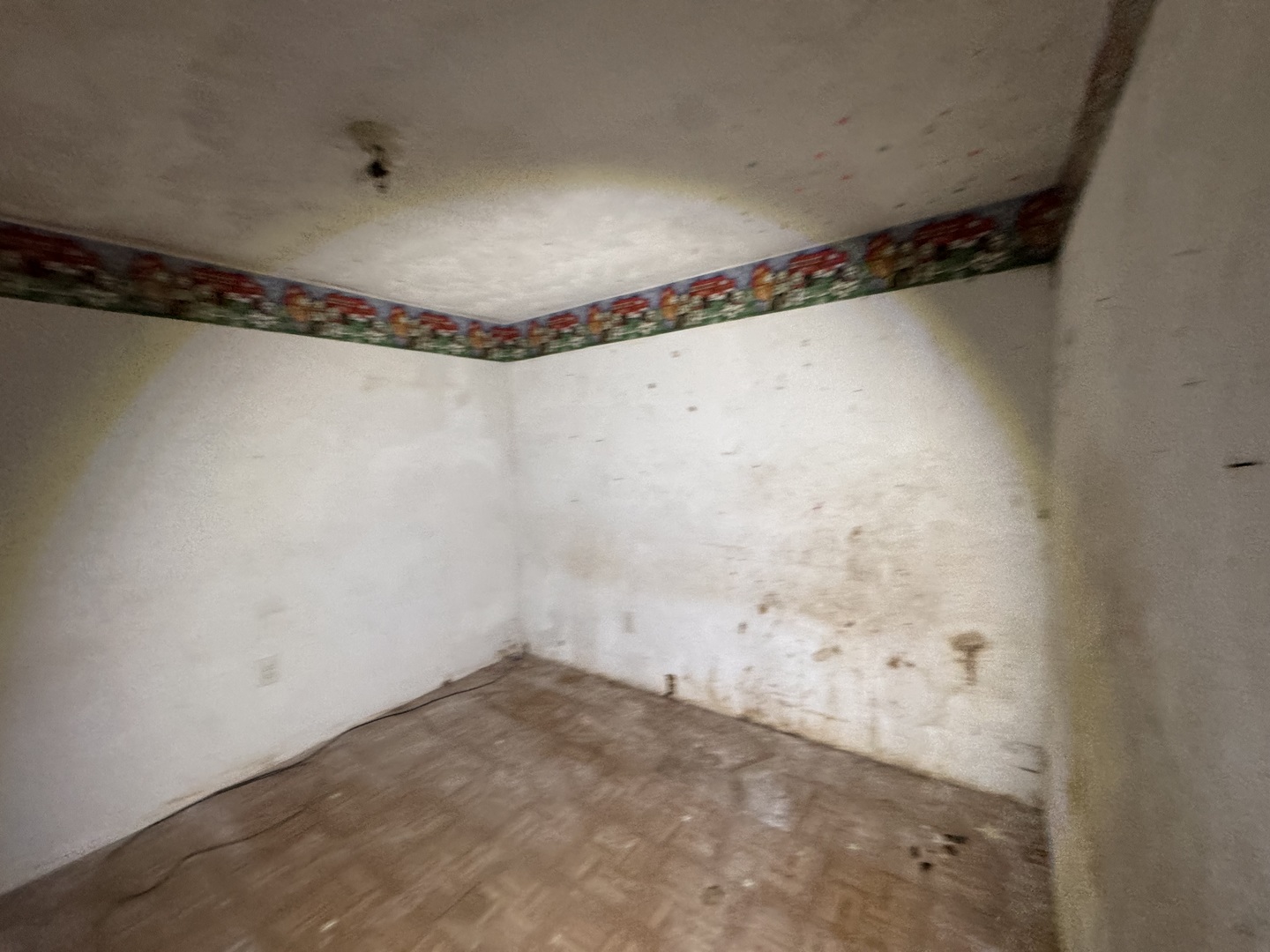 454 S 7th Avenue, Canton, IL 61520