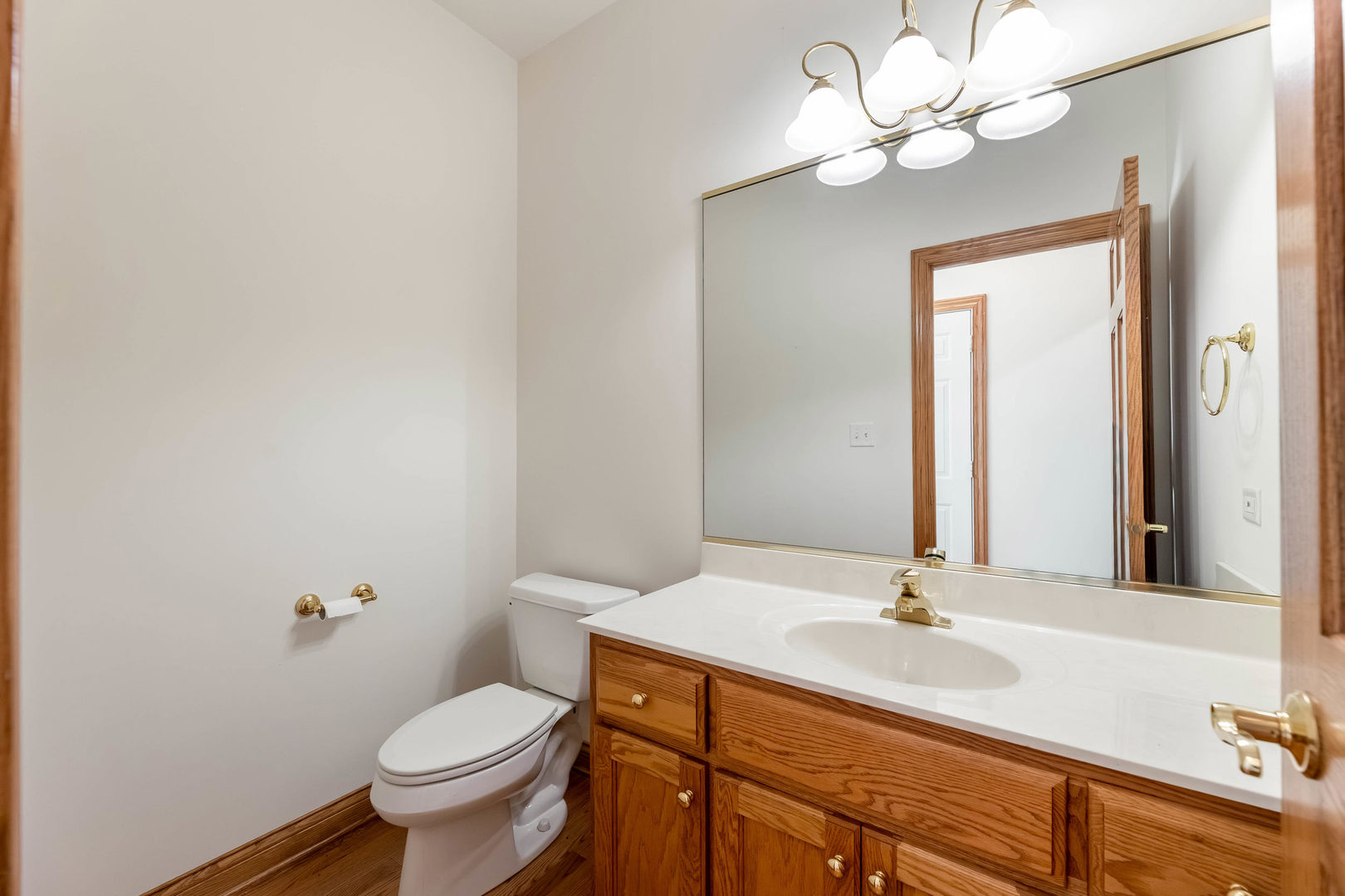 10535 Great Egret Drive, Orland Park, IL 60467