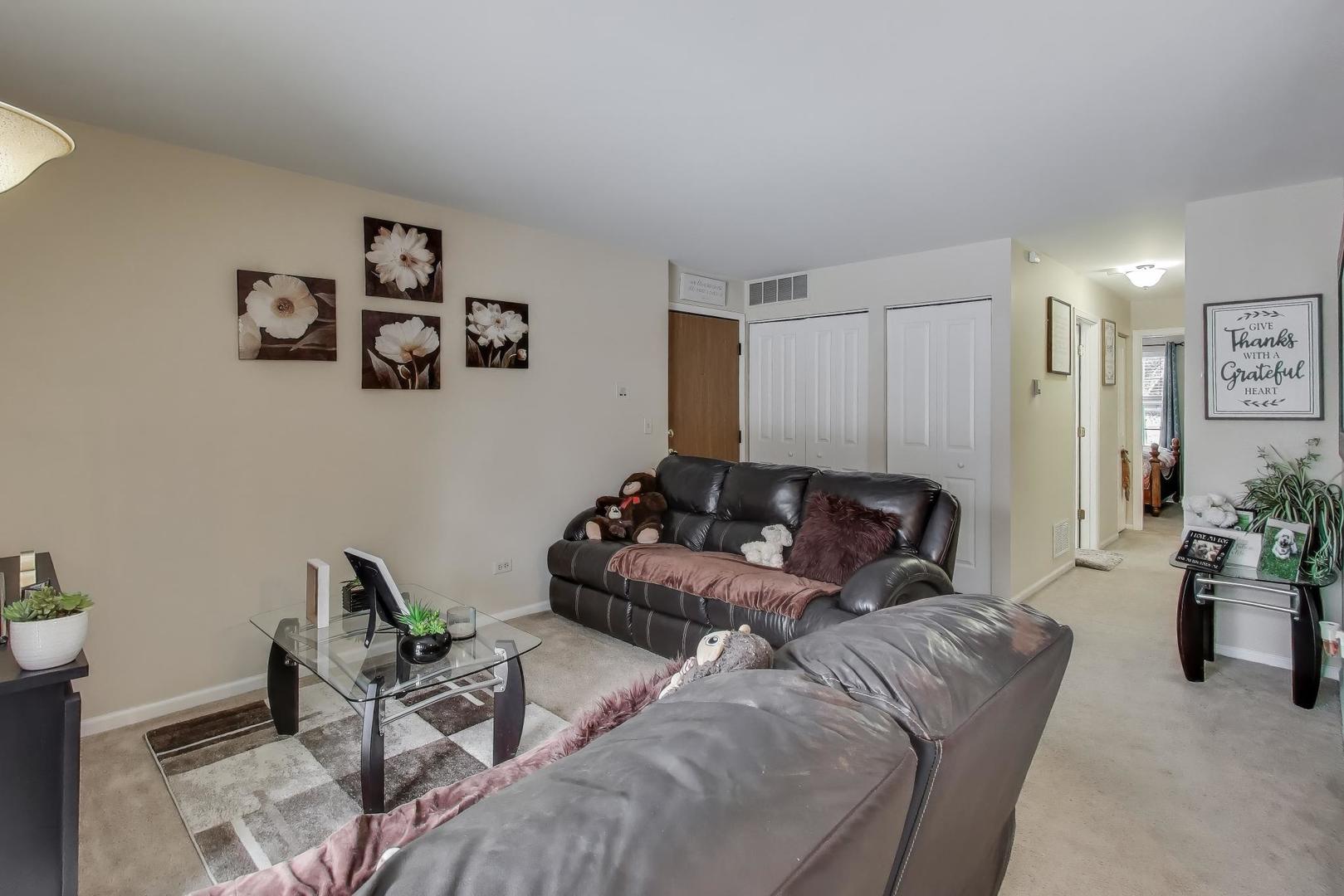 355 Wilmington Drive #C1, Bartlett, IL 60103