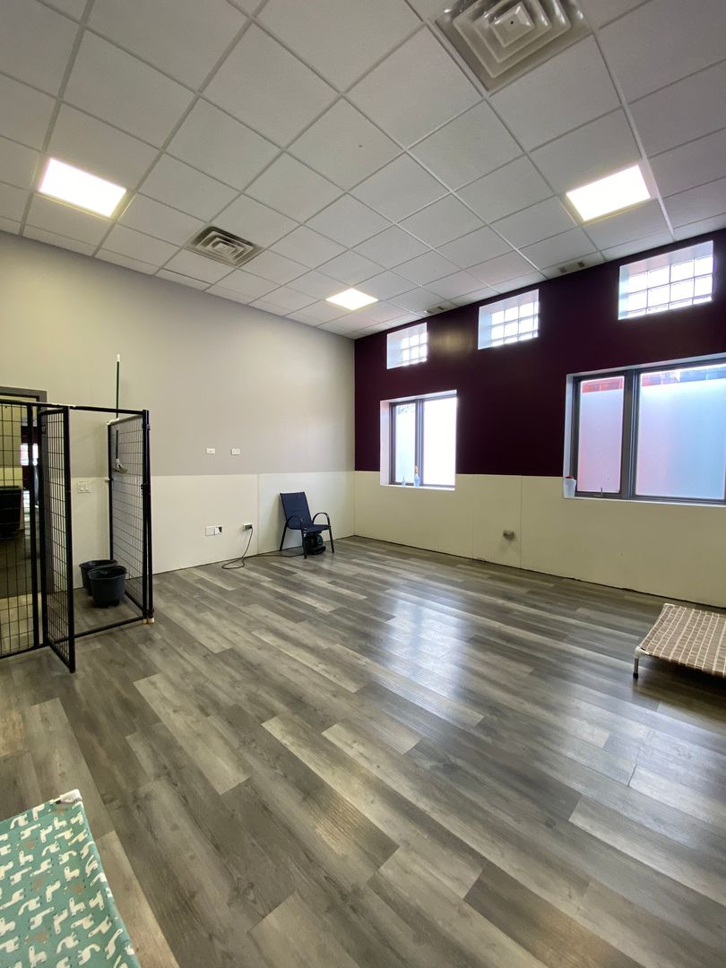 703 Childs Street, Wheaton, IL 60187