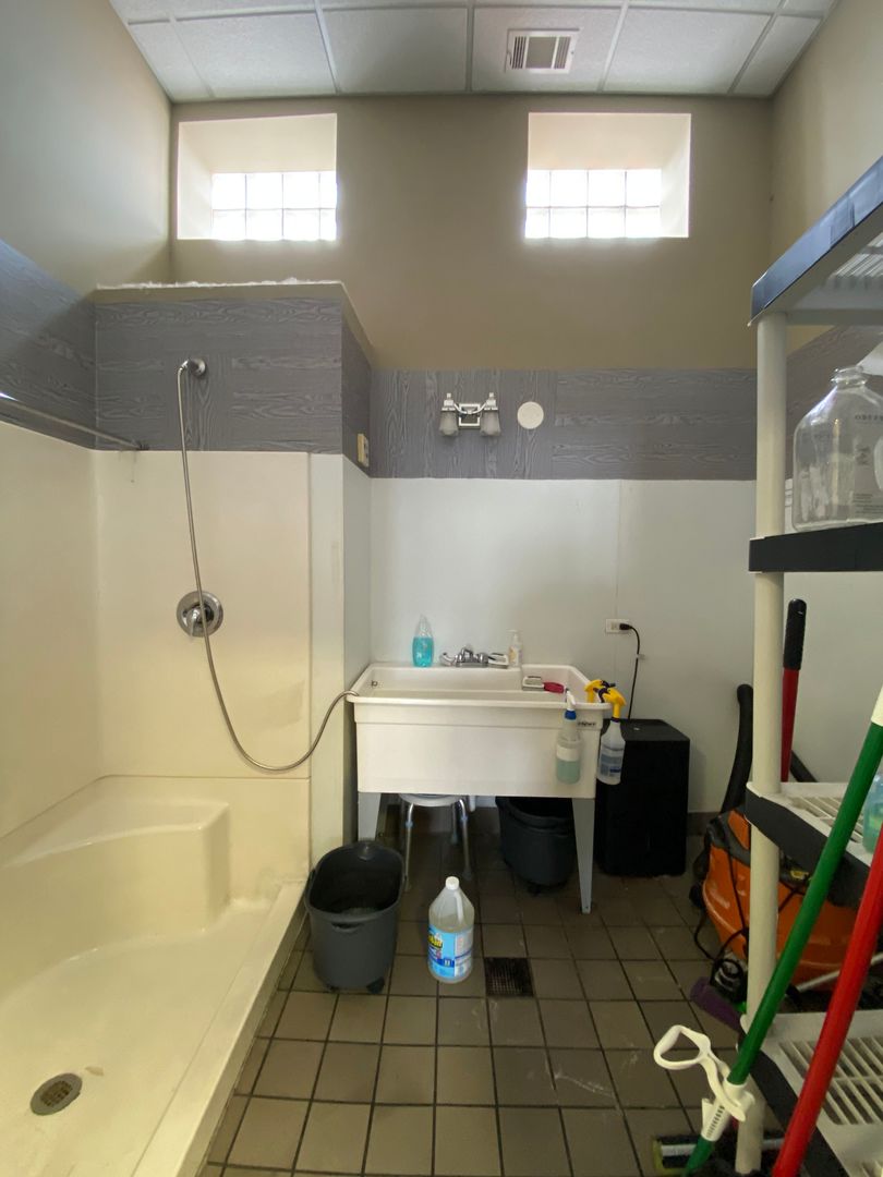 703 Childs Street, Wheaton, IL 60187