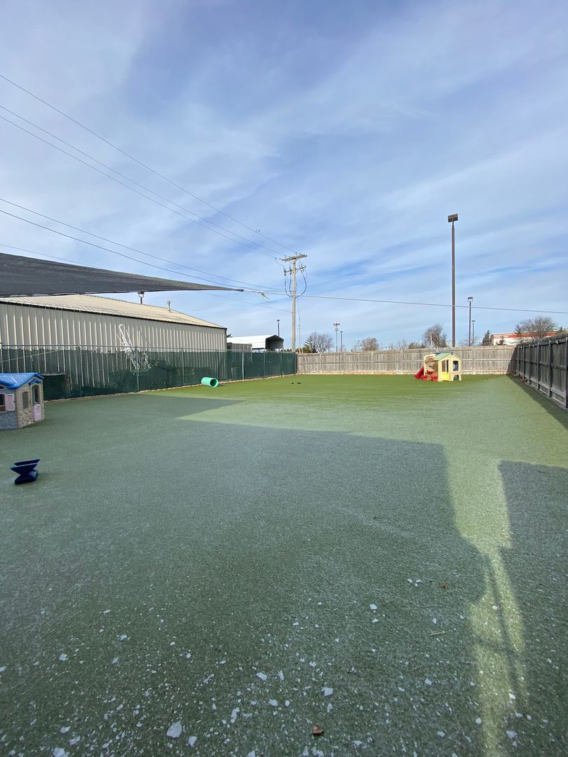 703 Childs Street, Wheaton, IL 60187