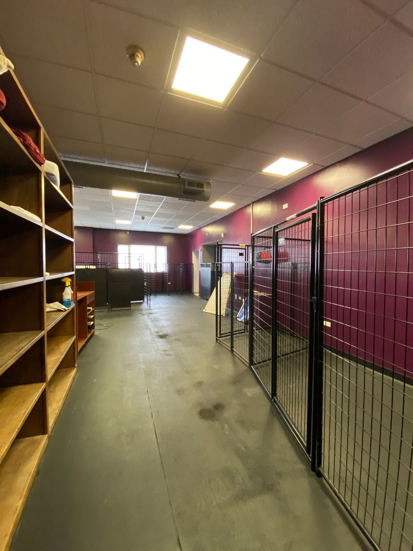 703 Childs Street, Wheaton, IL 60187