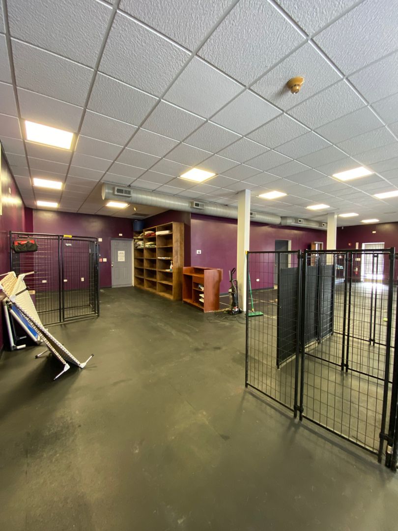 703 Childs Street, Wheaton, IL 60187