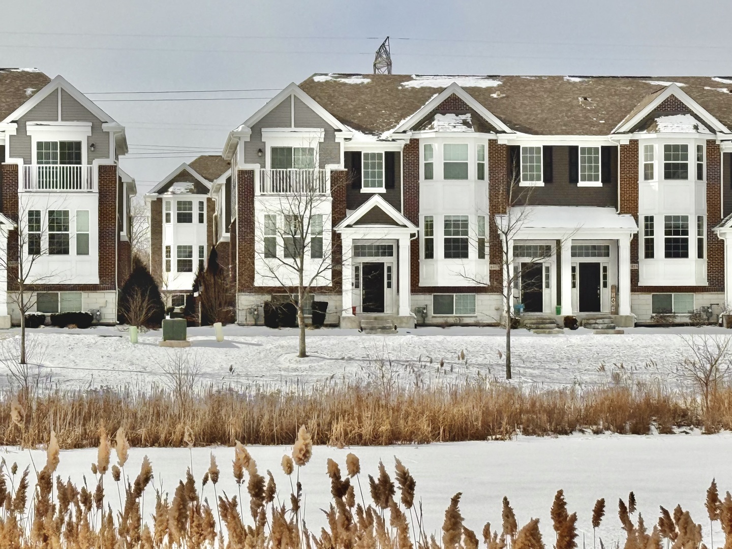 4411 Monroe Court, Naperville, IL 60564