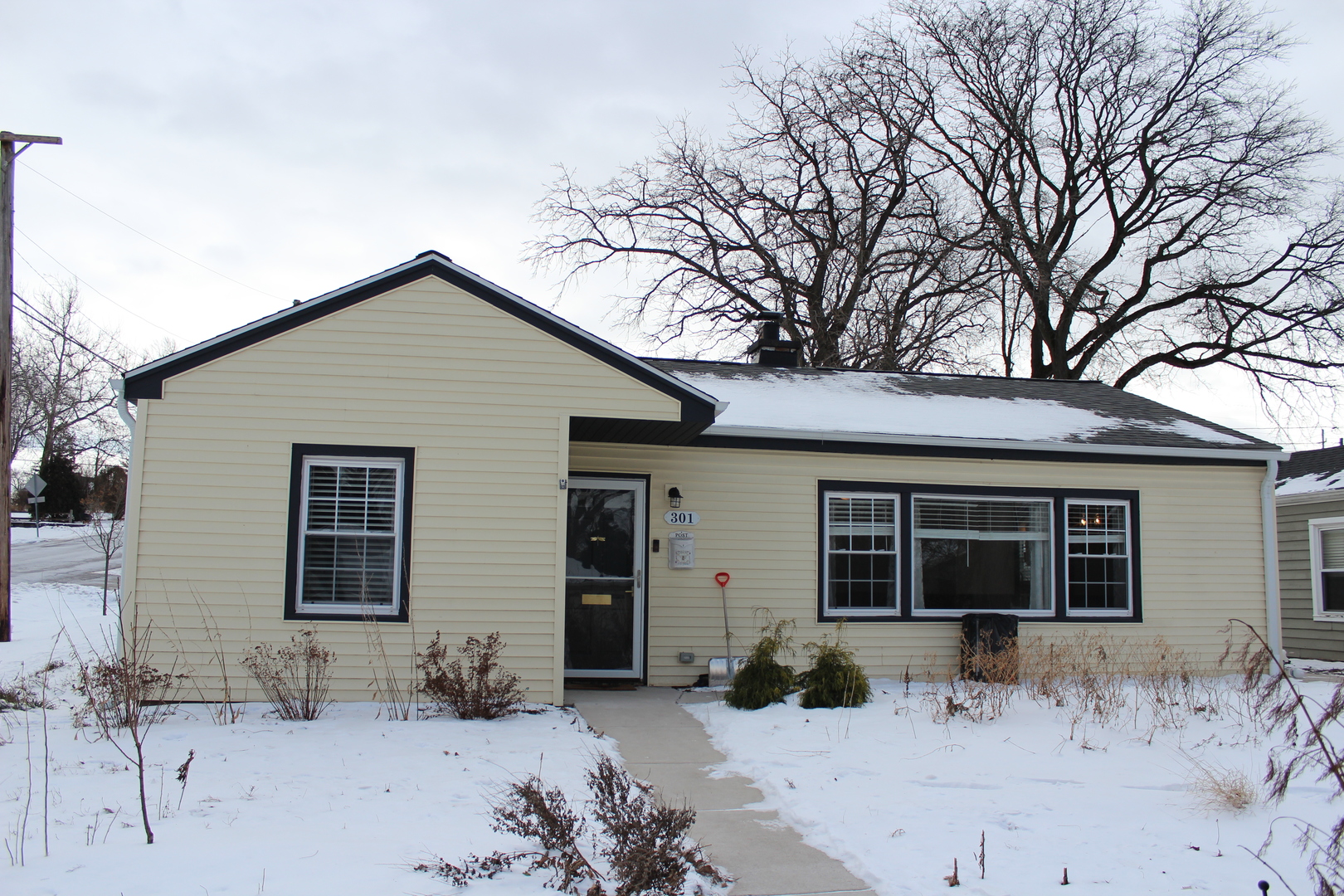 301 Sheldon Avenue, Downers Grove, IL 60515