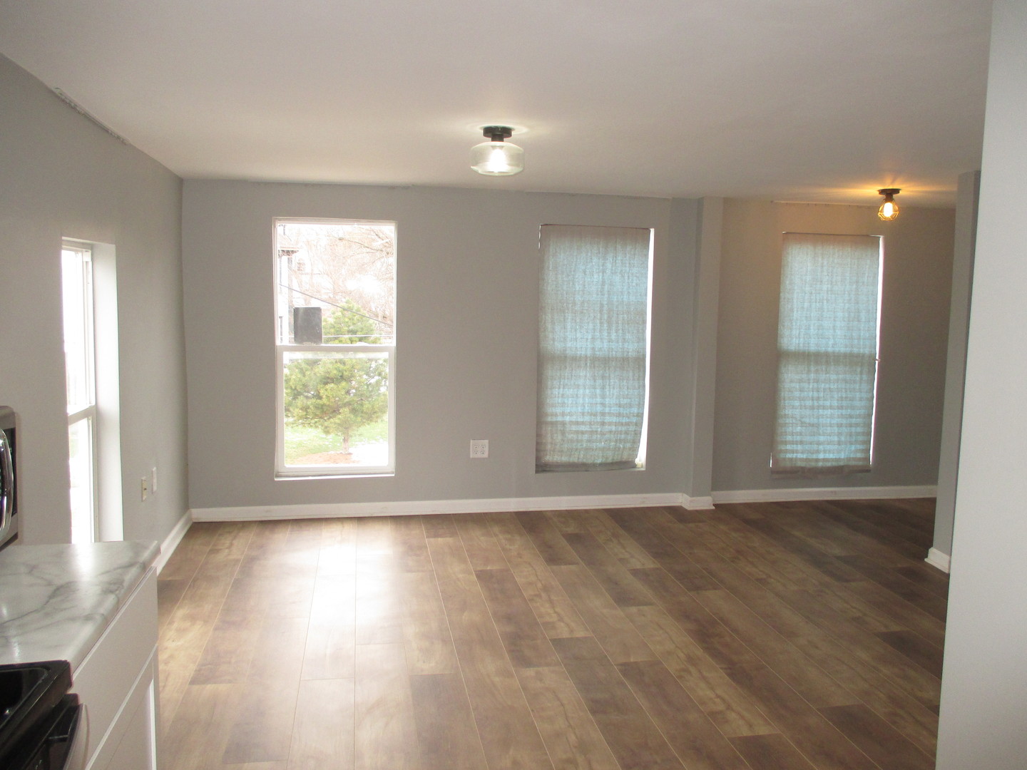 14 N Hickory Street, Joliet, IL 60435