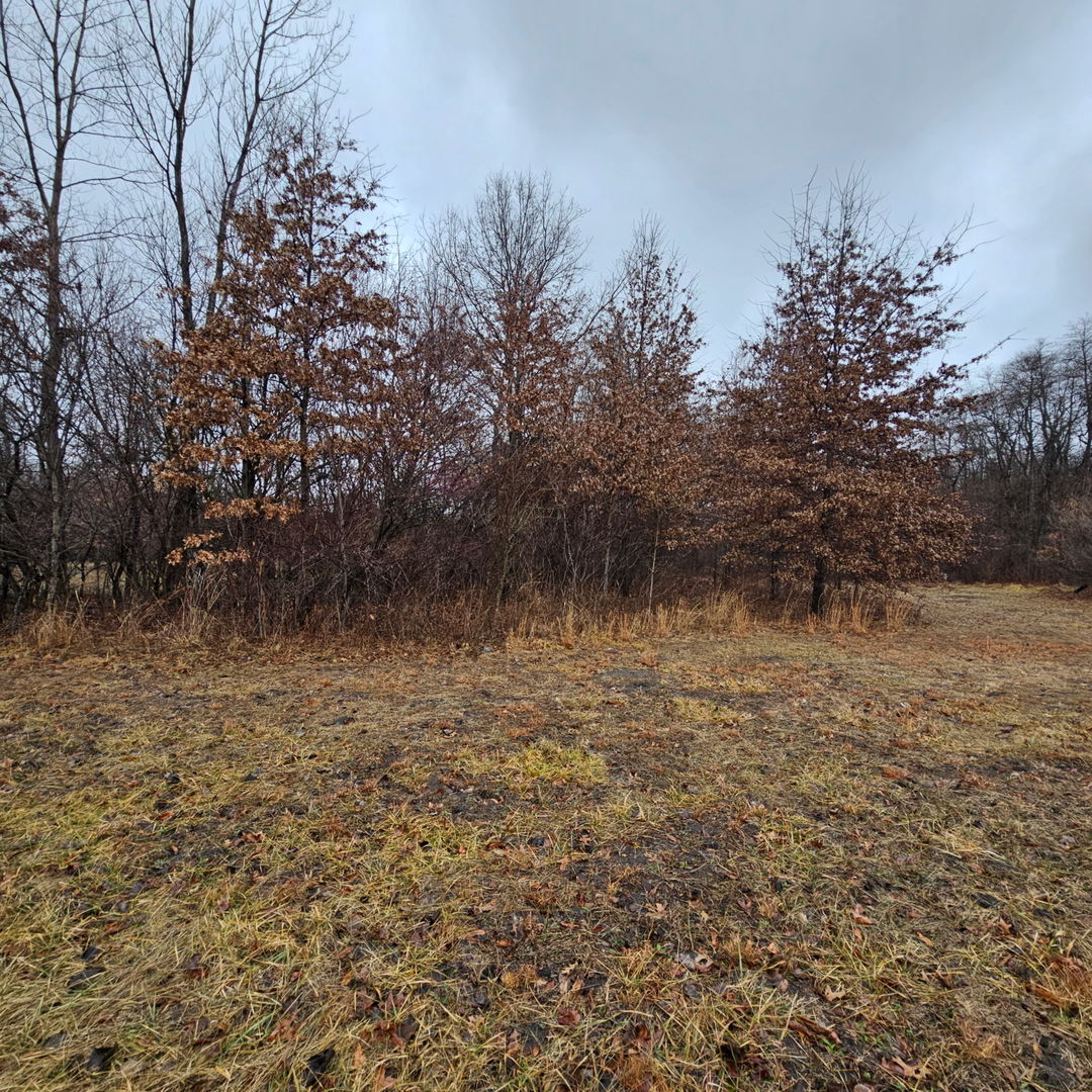 Pembroke Twp, IL 60958