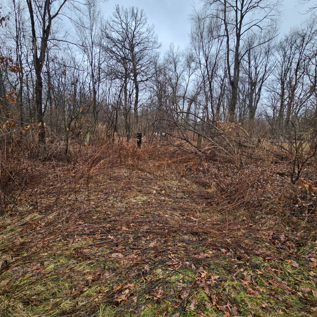 Pembroke Twp, IL 60958