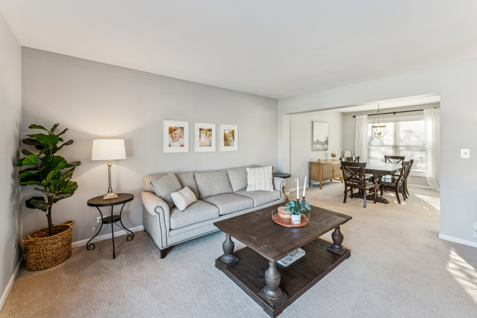 1213 Silver Pine Drive, Hoffman Estates, IL 60010