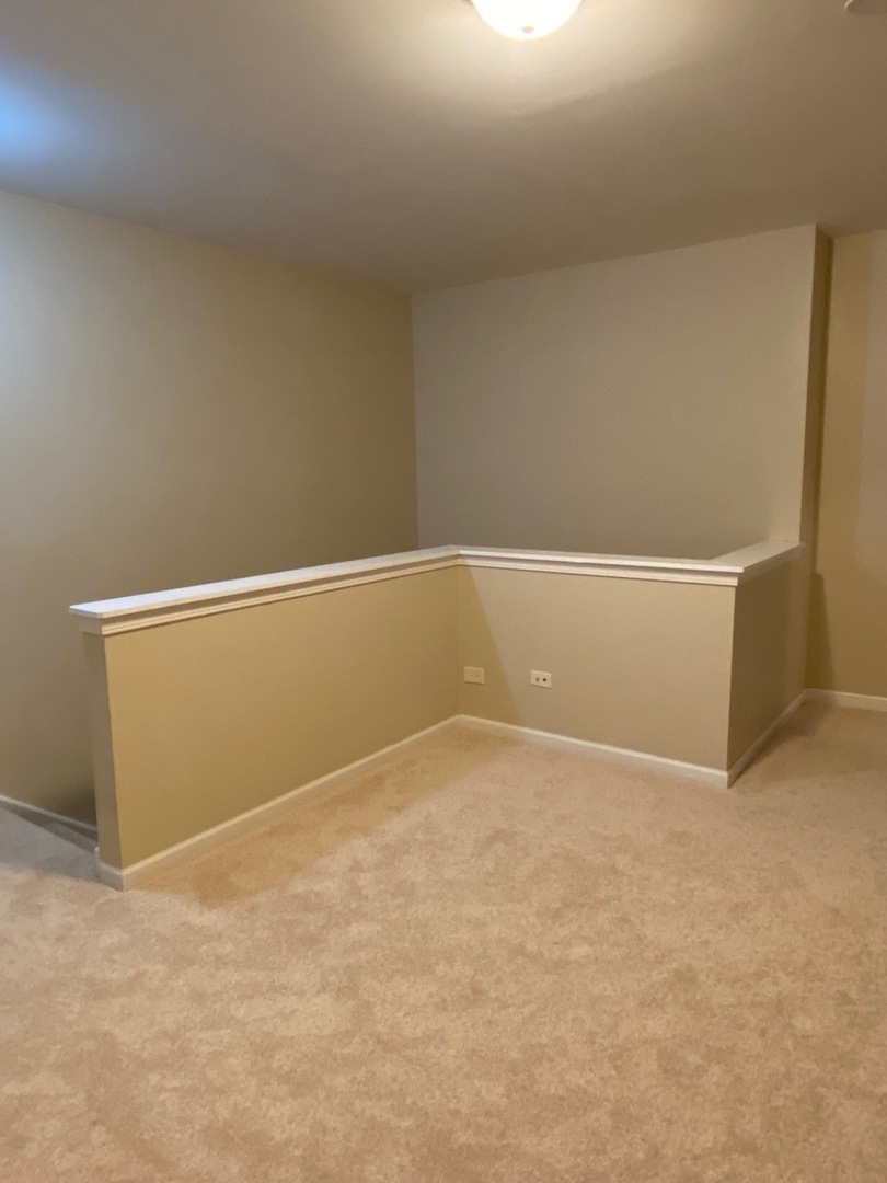 364 GRAPE VINE Trail, Oswego, IL 60543