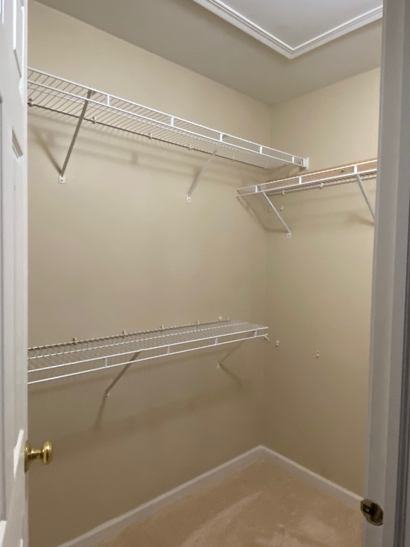 364 GRAPE VINE Trail, Oswego, IL 60543