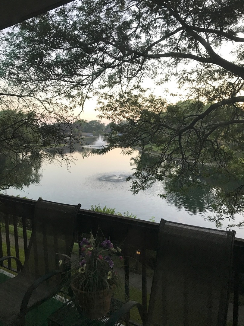 101 Lake Hinsdale Drive #205, Willowbrook, IL 60527