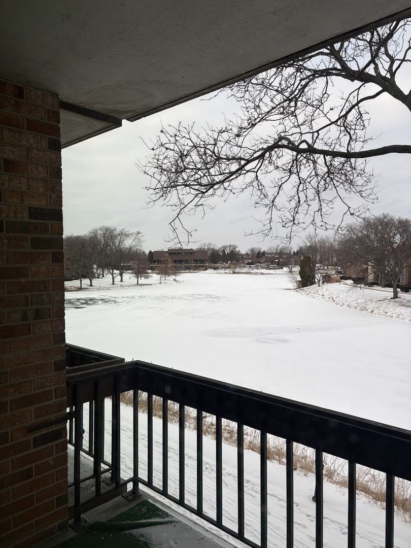 101 Lake Hinsdale Drive #205, Willowbrook, IL 60527