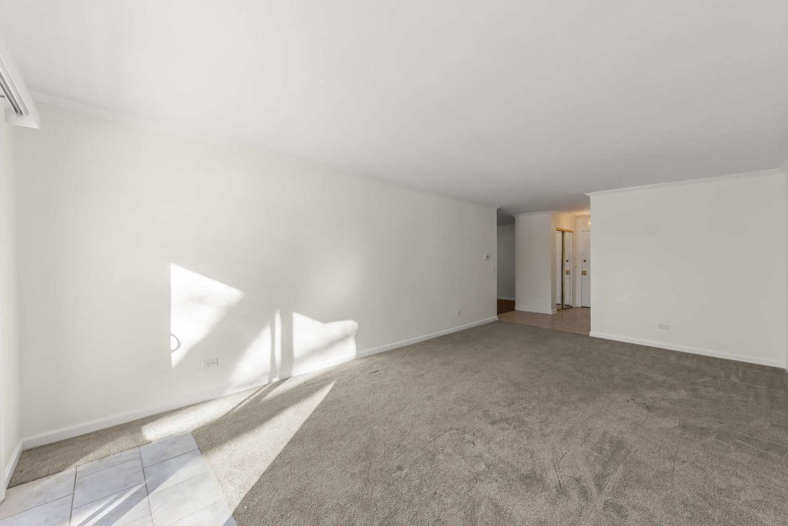 2331 Ogden Avenue #4, Downers Grove, IL 60515