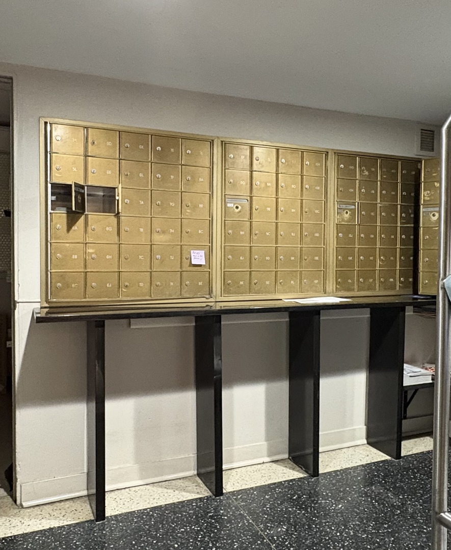 21 W Goethe Street #2A, Chicago, IL 60610