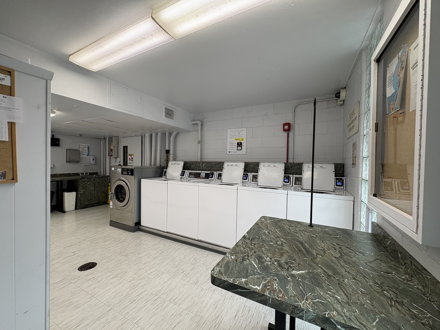 21 W Goethe Street #2A, Chicago, IL 60610