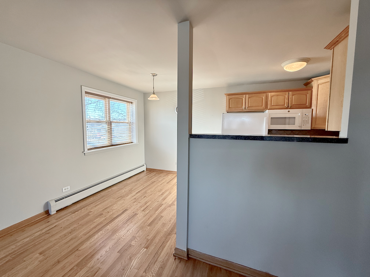 4600 N CUMBERLAND Avenue #101, Chicago, IL 60656