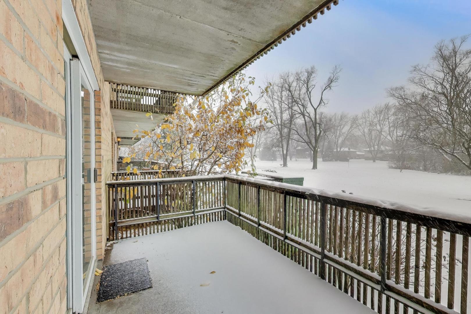 512 Redondo Drive #107, Downers Grove, IL 60516