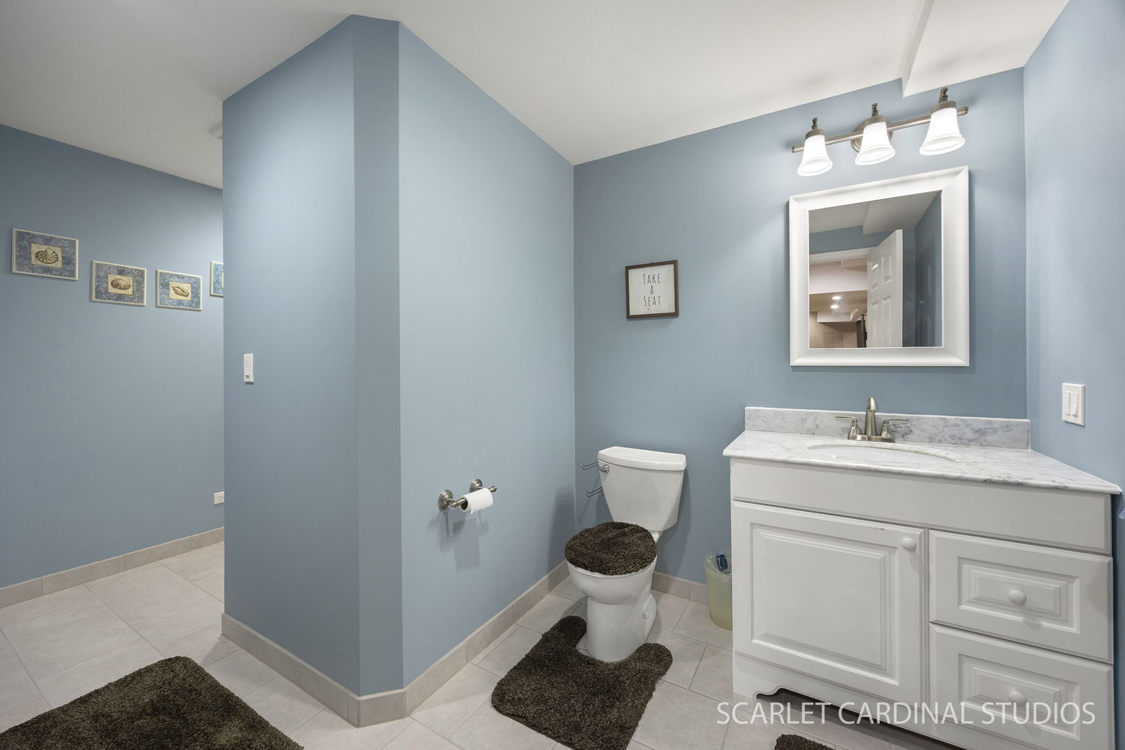 628 Ebony Drive, Oswego, IL 60543