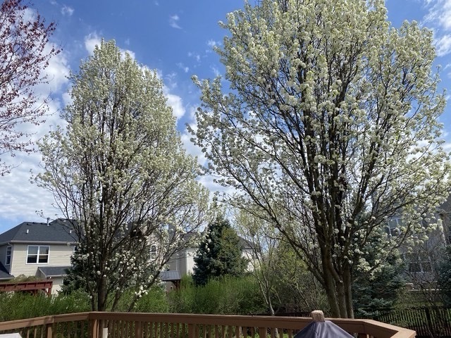 628 Ebony Drive, Oswego, IL 60543