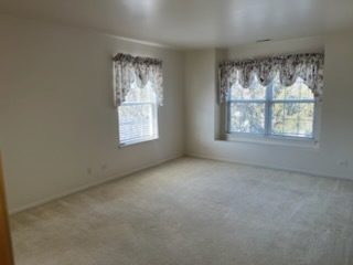 796 Stonewall Court #796, Schaumburg, IL 60173