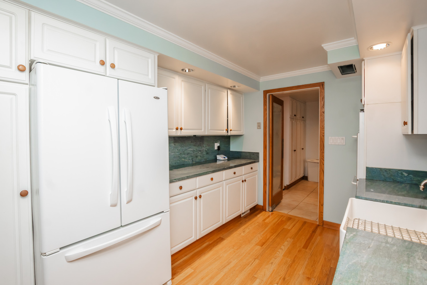 3843 Springdale Avenue, Glenview, IL 60025