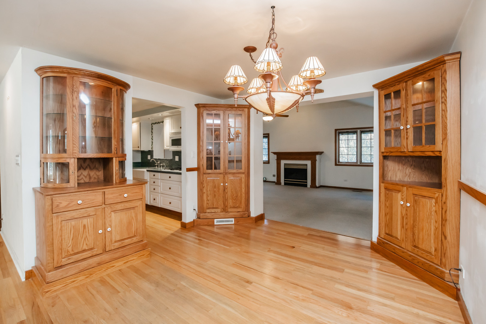 3843 Springdale Avenue, Glenview, IL 60025