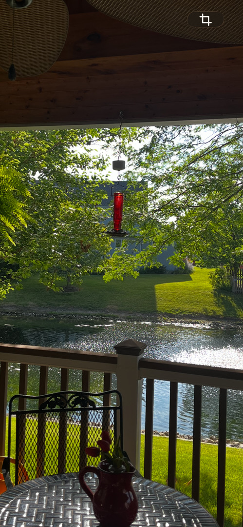 1700 Chestnut Hill Road, Plainfield, IL 60586