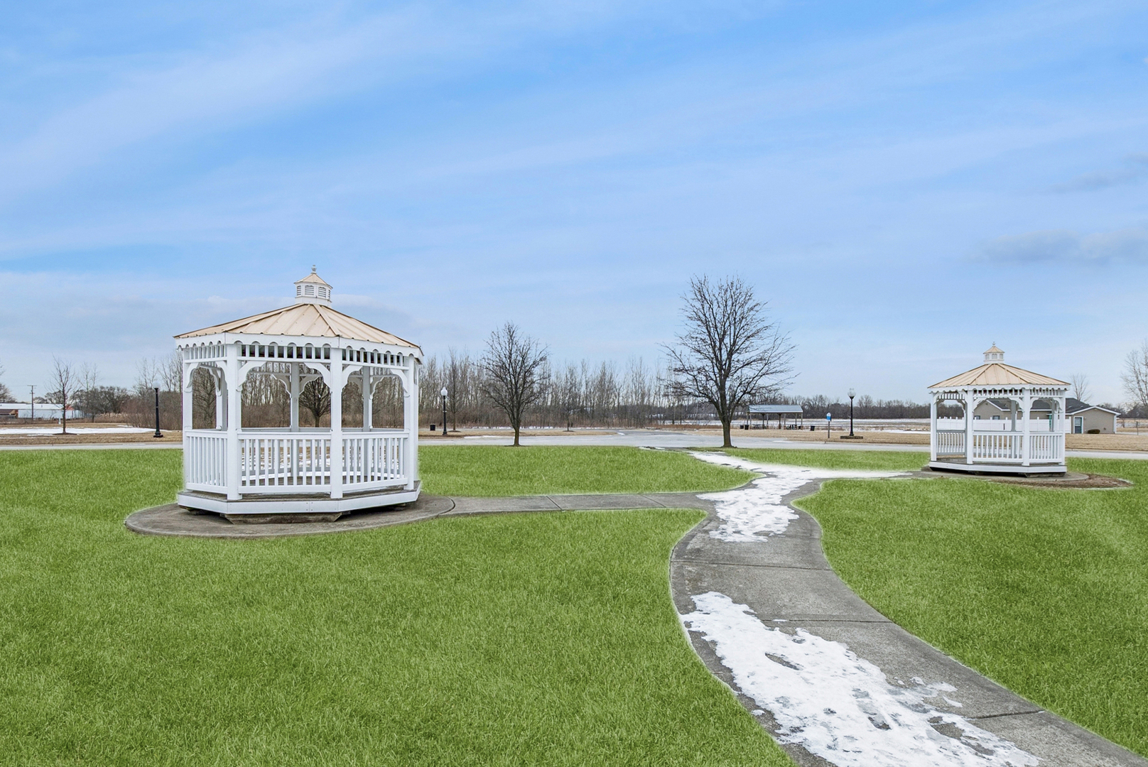 194 Sparrow Drive, Lynwood, IL 60411