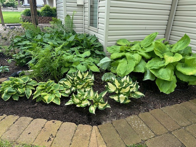 1303 Morning Dove Lane, Antioch, IL 60002