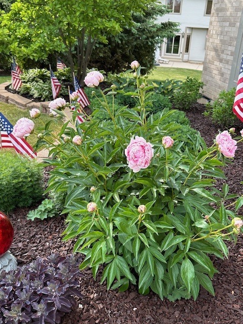 1303 Morning Dove Lane, Antioch, IL 60002